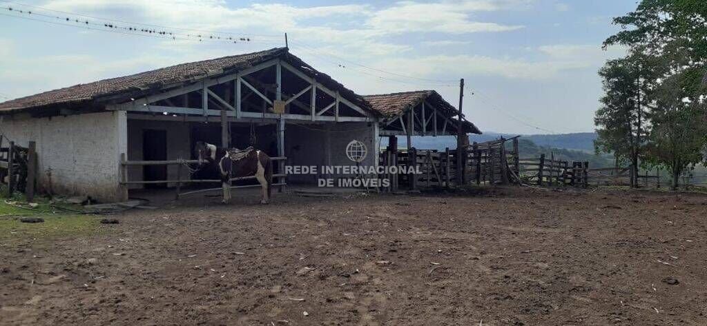 Farm Ranch in Ronco, State of Paraná, Brazil 4 - 16170107