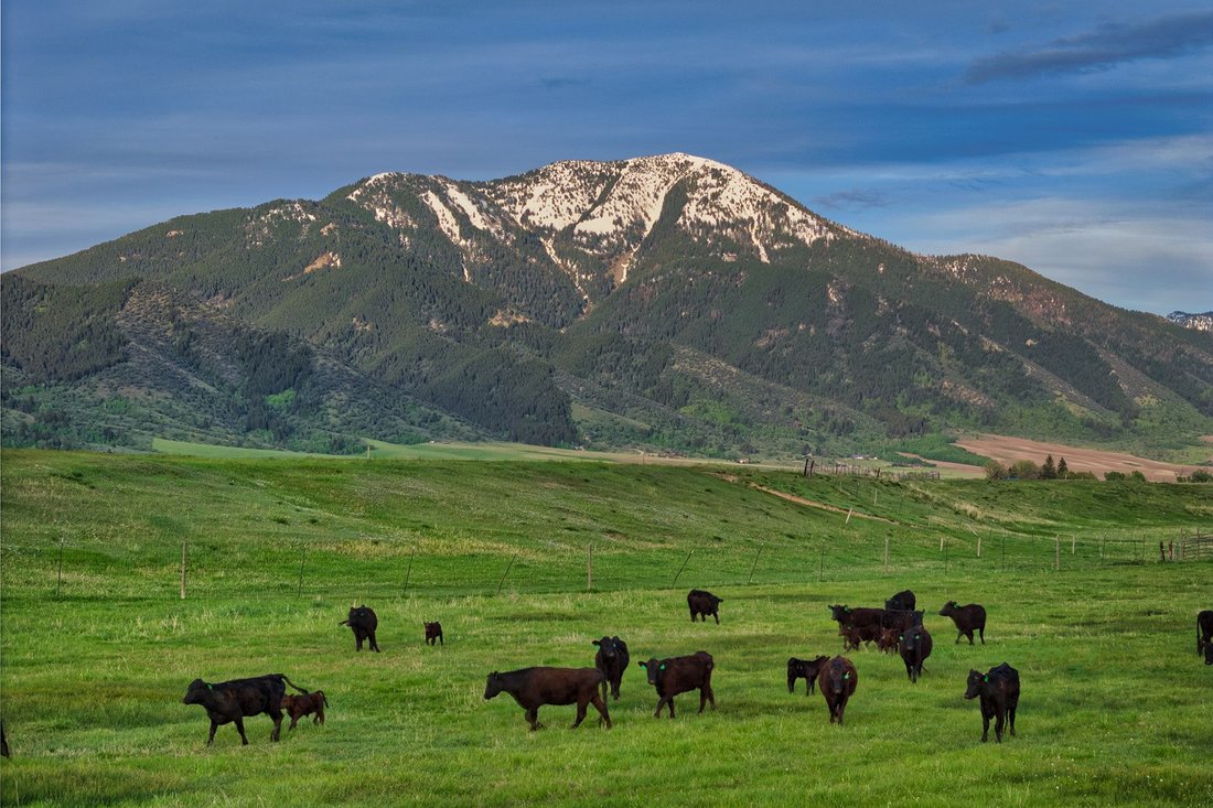 Azienda agricola a Swan Valley, Idaho, Stati Uniti 2 - 16175714