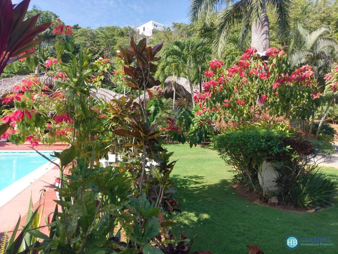 Villa in Las Terrenas, Samaná Province, Dominican Republic 3 - 16178221