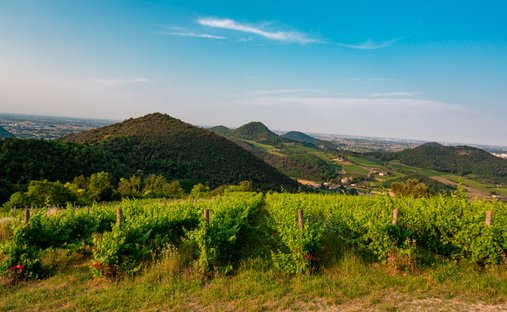 Land in Torreglia, Veneto, Italy 1
