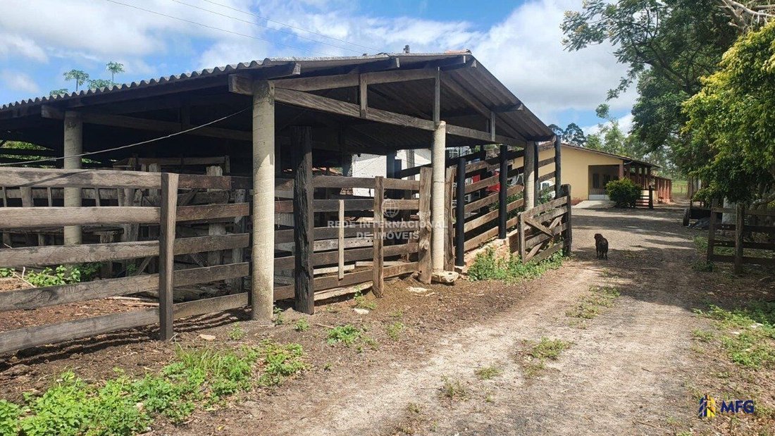 Farm Ranch in Ronco, State of Paraná, Brazil 3 - 16169117