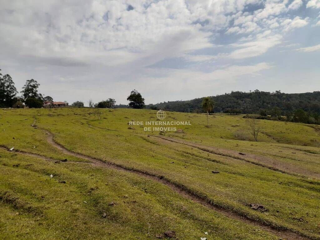 Farm Ranch in Ronco, State of Paraná, Brazil 5 - 16170107