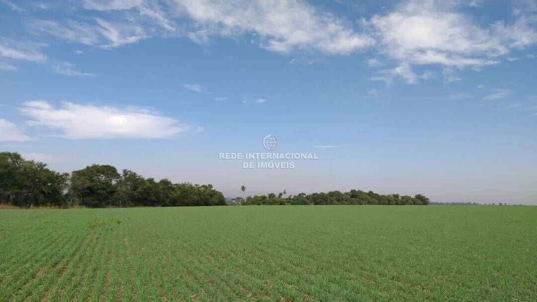 Farm Ranch in Itararé, State of São Paulo, Brazil 4 - 16169136