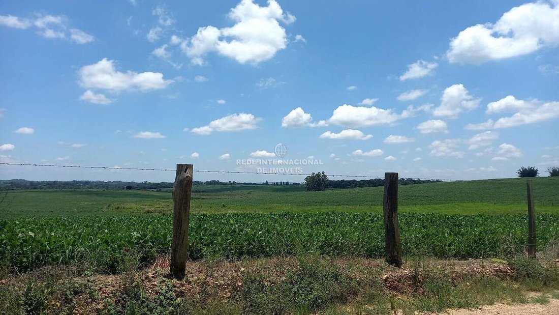 Farm Ranch in Bairro Rural, Brazil 5 - 16170307