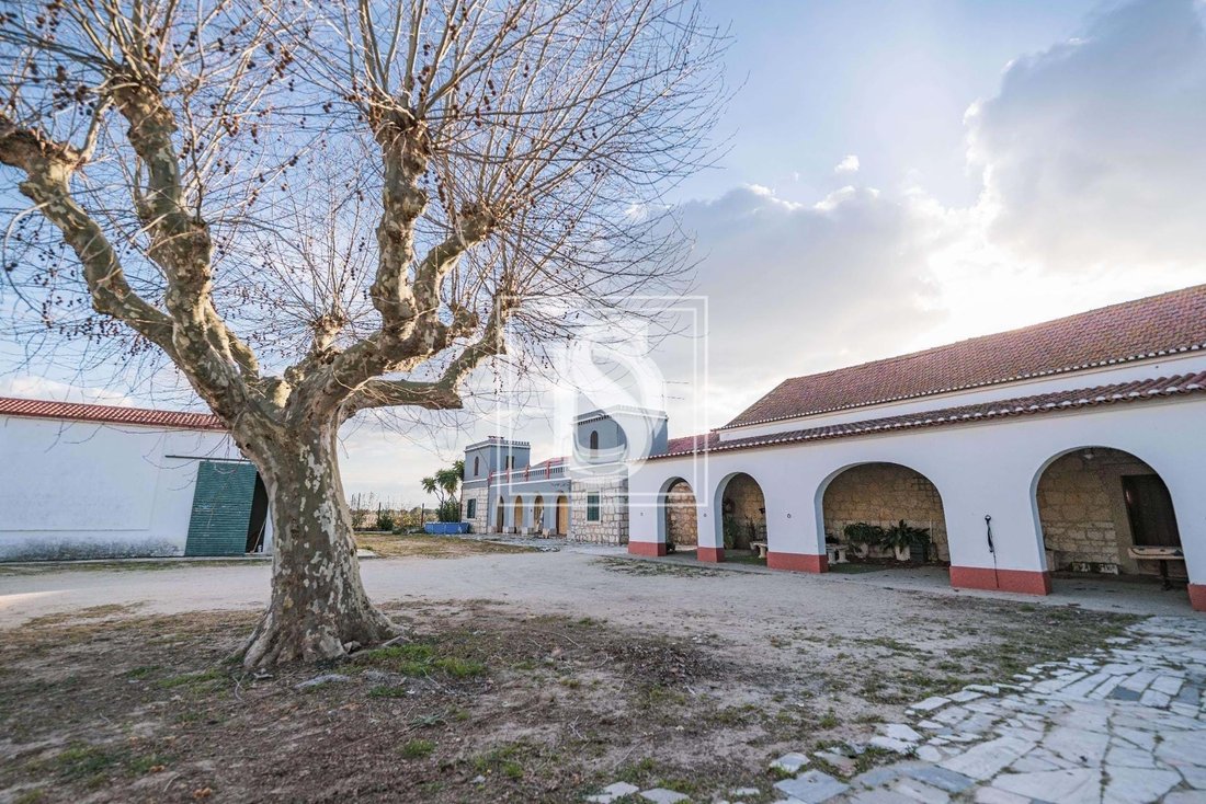 Farm Ranch in Poceirao e Marateca, Setubal, Portugal 4 - 16172149