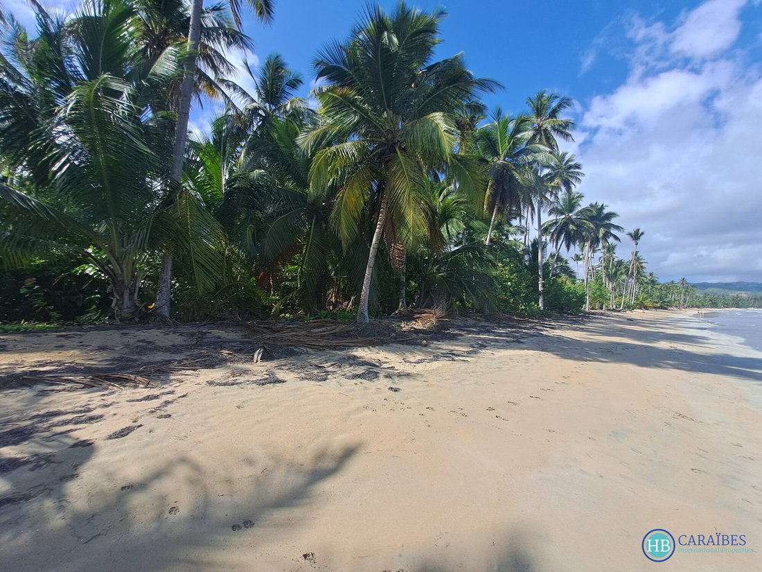 Land in Las Terrenas, Samaná Province, Dominican Republic 2 - 16178341