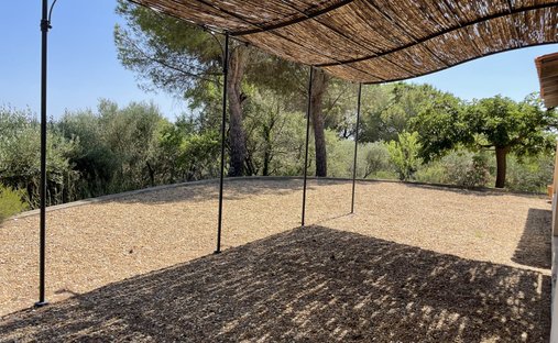 Château Avec Vignoble