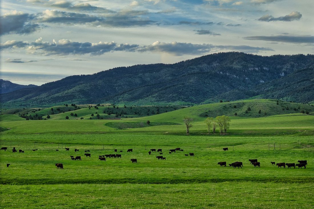 Azienda agricola a Swan Valley, Idaho, Stati Uniti 3 - 16175714
