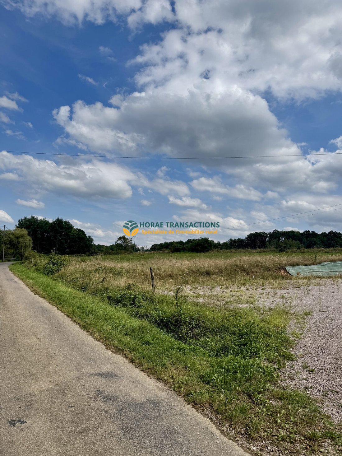 Farm Ranch in Aillevillers-et-Lyaumont, Bourgogne – Franche-Comté, France 5 - 16170106