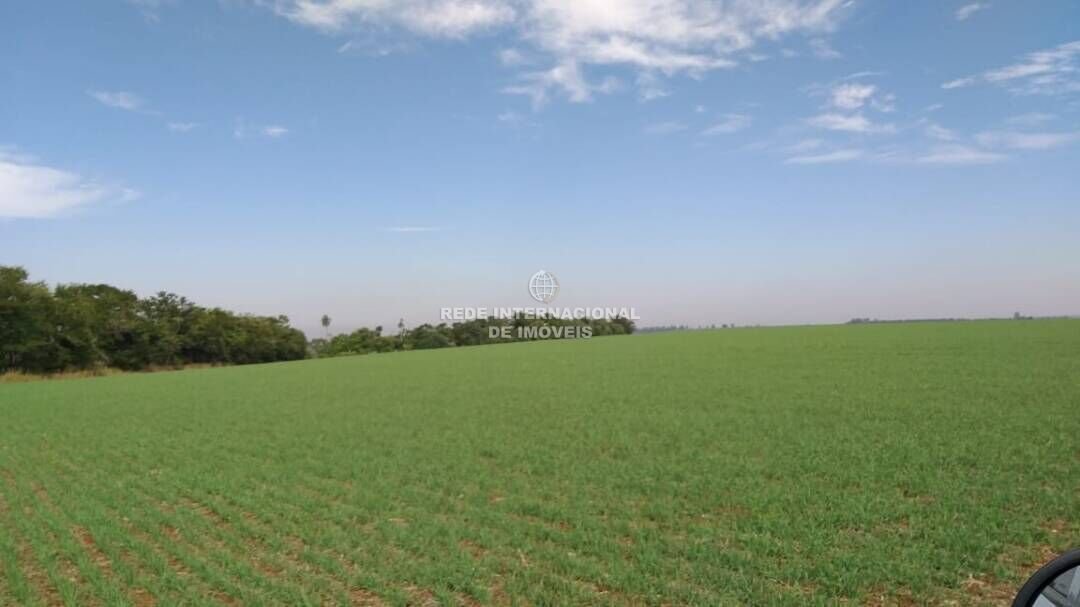 Farm Ranch in Itararé, State of São Paulo, Brazil 3 - 16169136