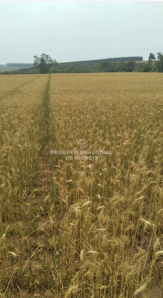 Farm Ranch in Avaré, State of São Paulo, Brazil 1 - 16170094