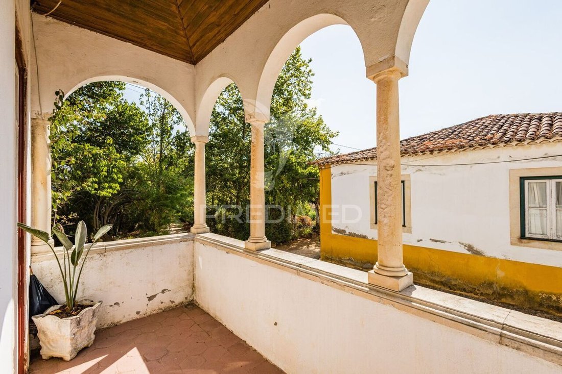 Farm Ranch in Meia Via, Santarem District, Portugal 2 - 16122336