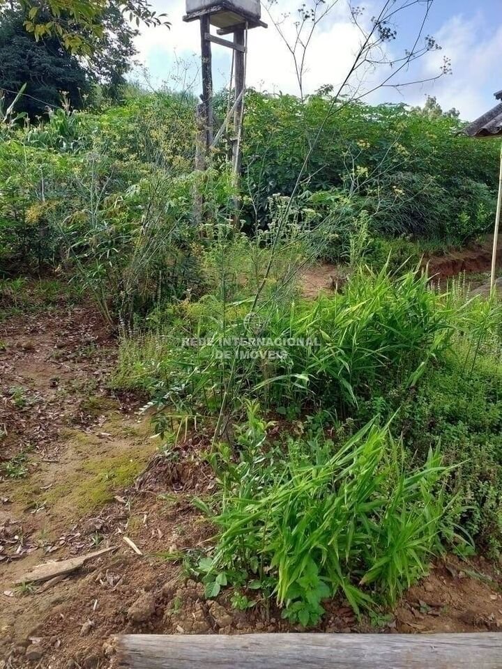 Farm Ranch in Rio de Janeiro, State of Rio de Janeiro, Brazil 2 - 16169900