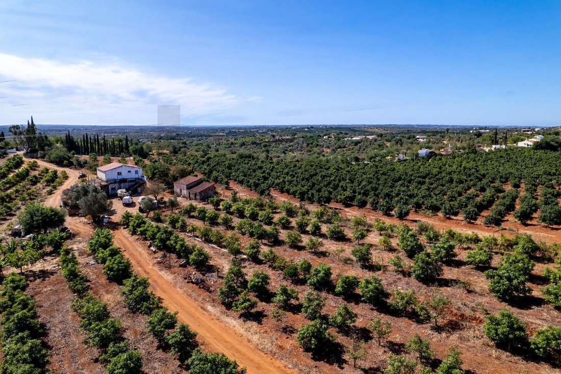 Land in Silves, Algarve, Portugal 3 - 16168693
