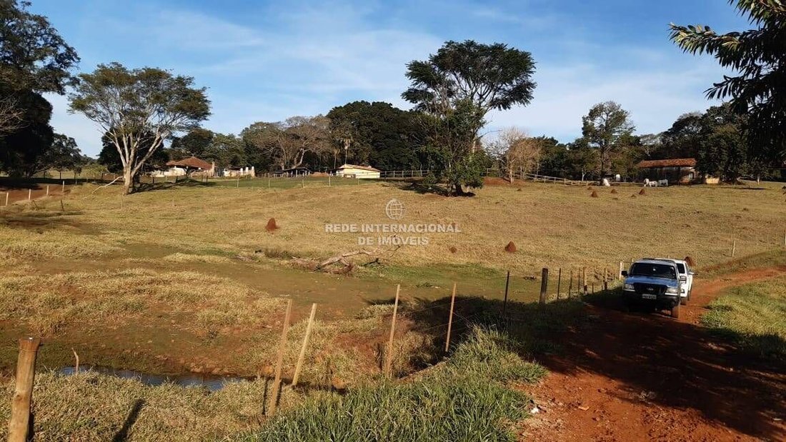 Farm Ranch in Arandu, State of São Paulo, Brazil 3 - 16169654