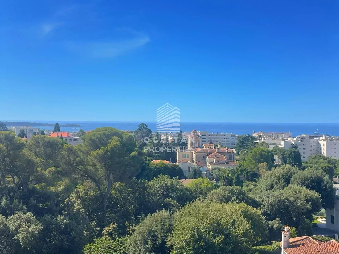 Apartment in Montfleury, Cannes, France 2 - 16170680