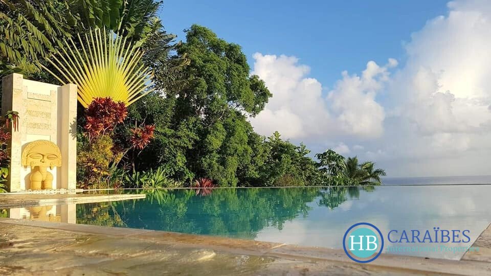 Villa in Las Terrenas, Samaná Province, Dominican Republic 4 - 16178224