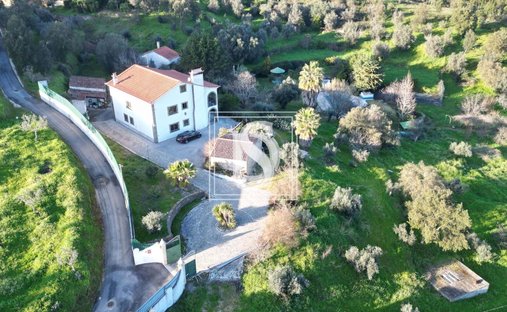 Azienda agricola a Sardoal, Distretto di Santarém, Portogallo 1