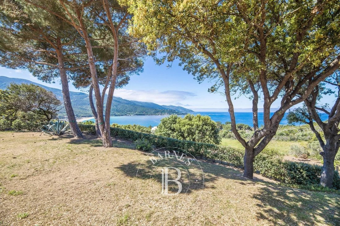 Villa in Centre Ville, Ajaccio, France 1 - 16178817