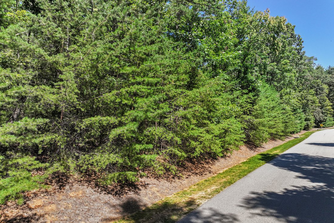 Land in Asheville, North Carolina, United States 4 - 16176584