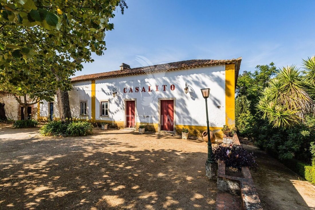 Farm Ranch in Meia Via, Santarem District, Portugal 3 - 16122336