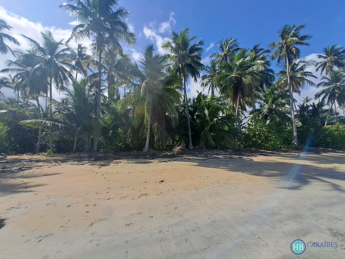 Land in Las Terrenas, Samaná Province, Dominican Republic 4 - 16178341
