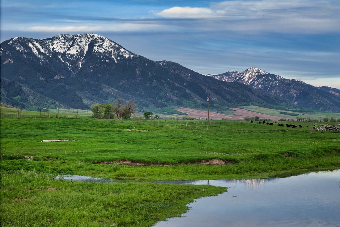 Azienda agricola a Swan Valley, Idaho, Stati Uniti 1 - 16175714