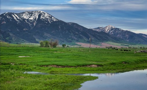 Farm Ranch in Swan Valley, Idaho, United States 1