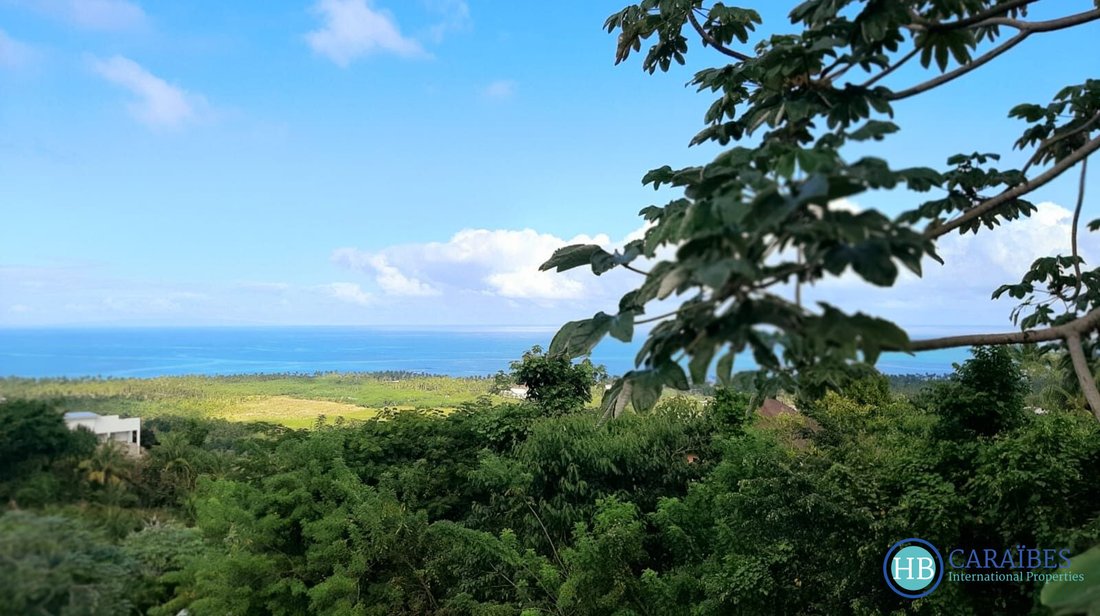 Villa in Las Terrenas, Samaná Province, Dominican Republic 3 - 16178214