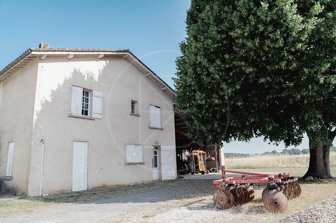 A Saint-Émilion Vineyard Château Reborn in Golden Light