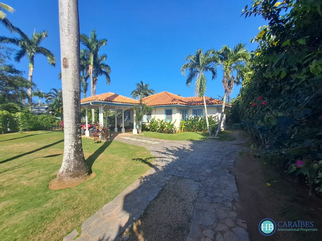 Las Terrenas, Samaná Province, Dominican Republic 1 - 16178354
