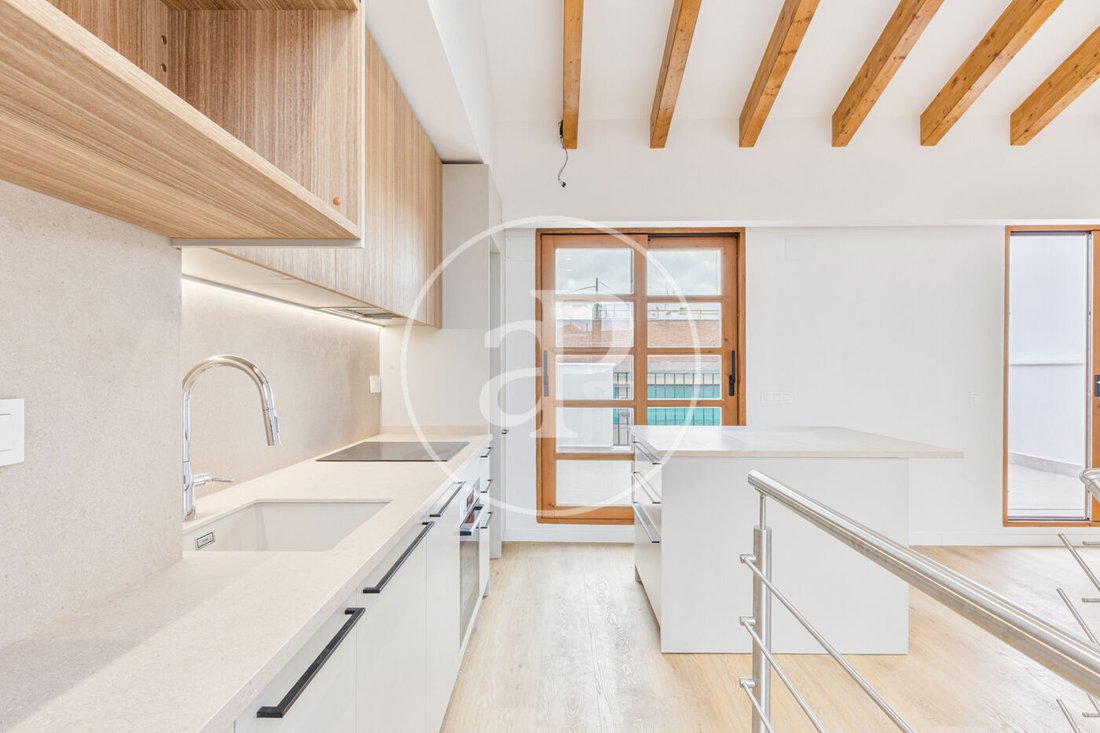 Penthouse in Ciutat Vella, Valencia, Spain 1 - 16174739