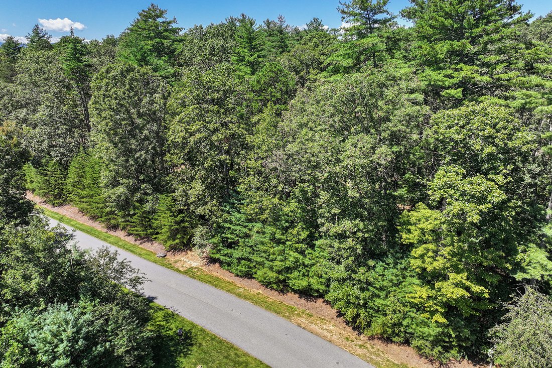 Land in Asheville, North Carolina, United States 1 - 16176584