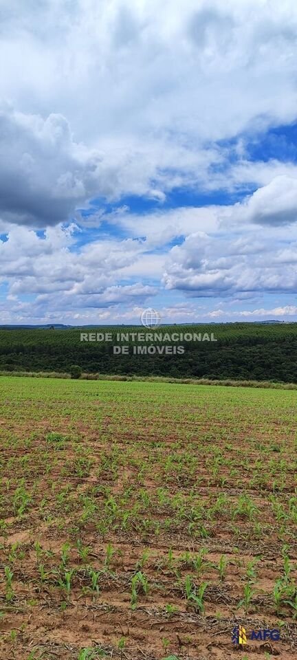 Farm Ranch in São Miguel Arcanjo, State of São Paulo, Brazil 3 - 16169157