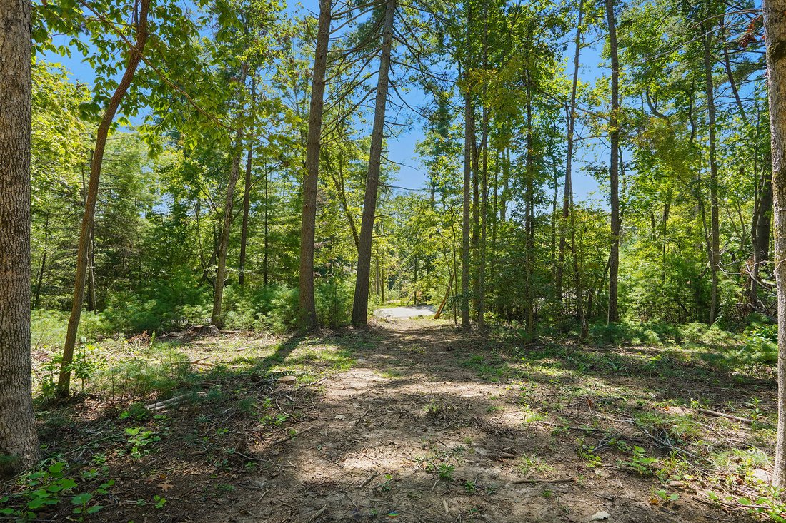 Land in Asheville, North Carolina, United States 5 - 16176584