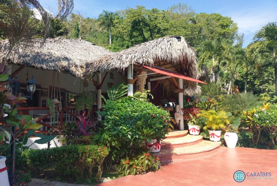 Villa in Las Terrenas, Samaná Province, Dominican Republic 4 - 16178221
