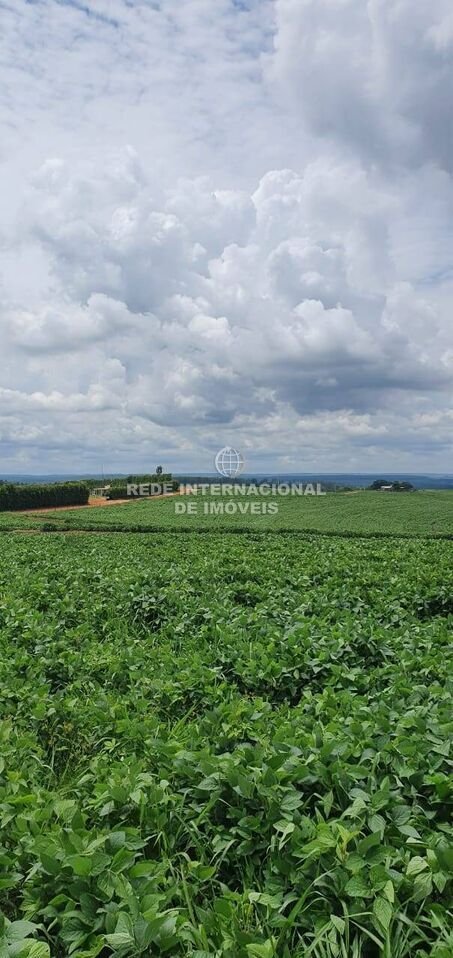 Farm Ranch in Rio de Janeiro, State of Rio de Janeiro, Brazil 2 - 16170098