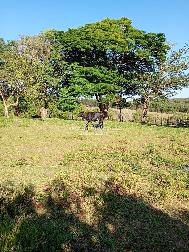 Farm Ranch in Botucatu, State of São Paulo, Brazil 4 - 16170345
