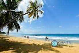 Land in Las Terrenas, Samaná Province, Dominican Republic 5 - 16178341
