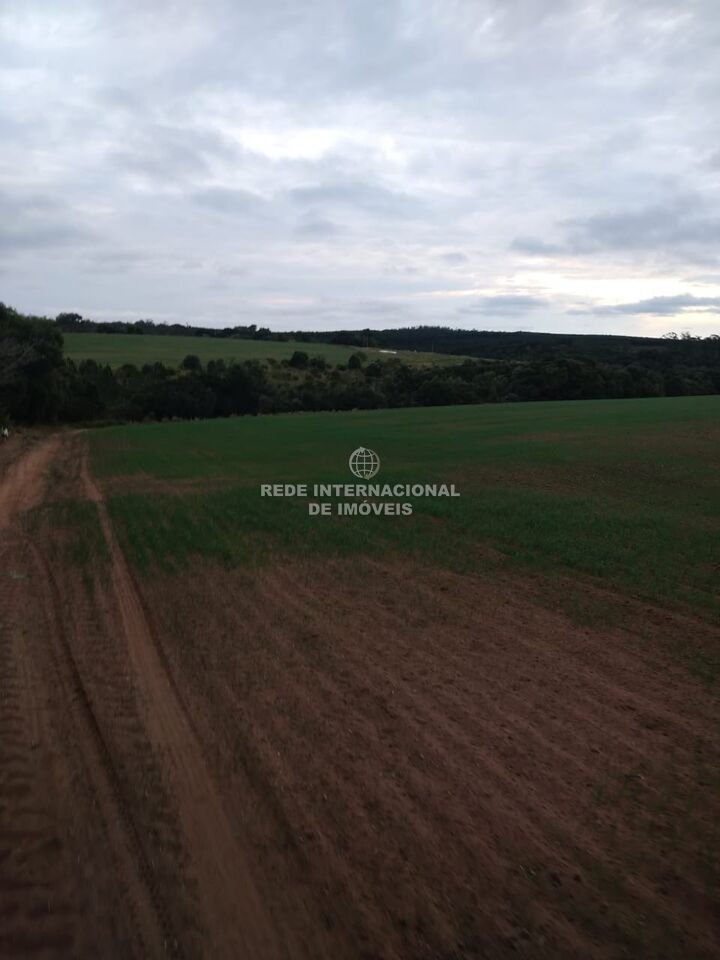 Farm Ranch in Itapetininga, State of São Paulo, Brazil 2 - 16169826