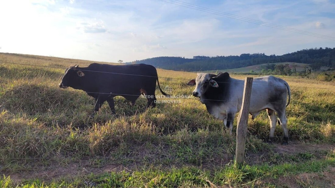 Farm Ranch in Piracicaba, State of São Paulo, Brazil 5 - 16170322