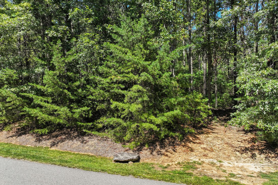 Land in Asheville, North Carolina, United States 2 - 16176584