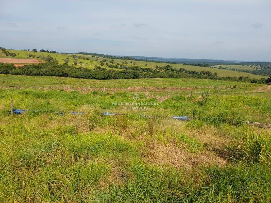Farm Ranch in Rio de Janeiro, State of Rio de Janeiro, Brazil 5 - 16170098