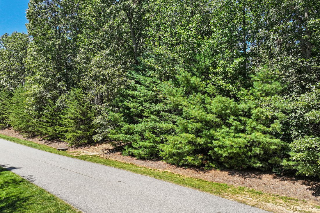 Land in Asheville, North Carolina, United States 3 - 16176584