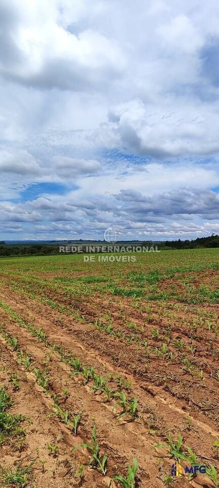 Farm Ranch in São Miguel Arcanjo, State of São Paulo, Brazil 4 - 16169157