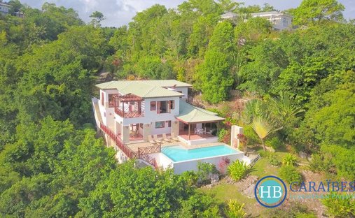 Villa in Las Terrenas, Samaná Province, Dominican Republic 1