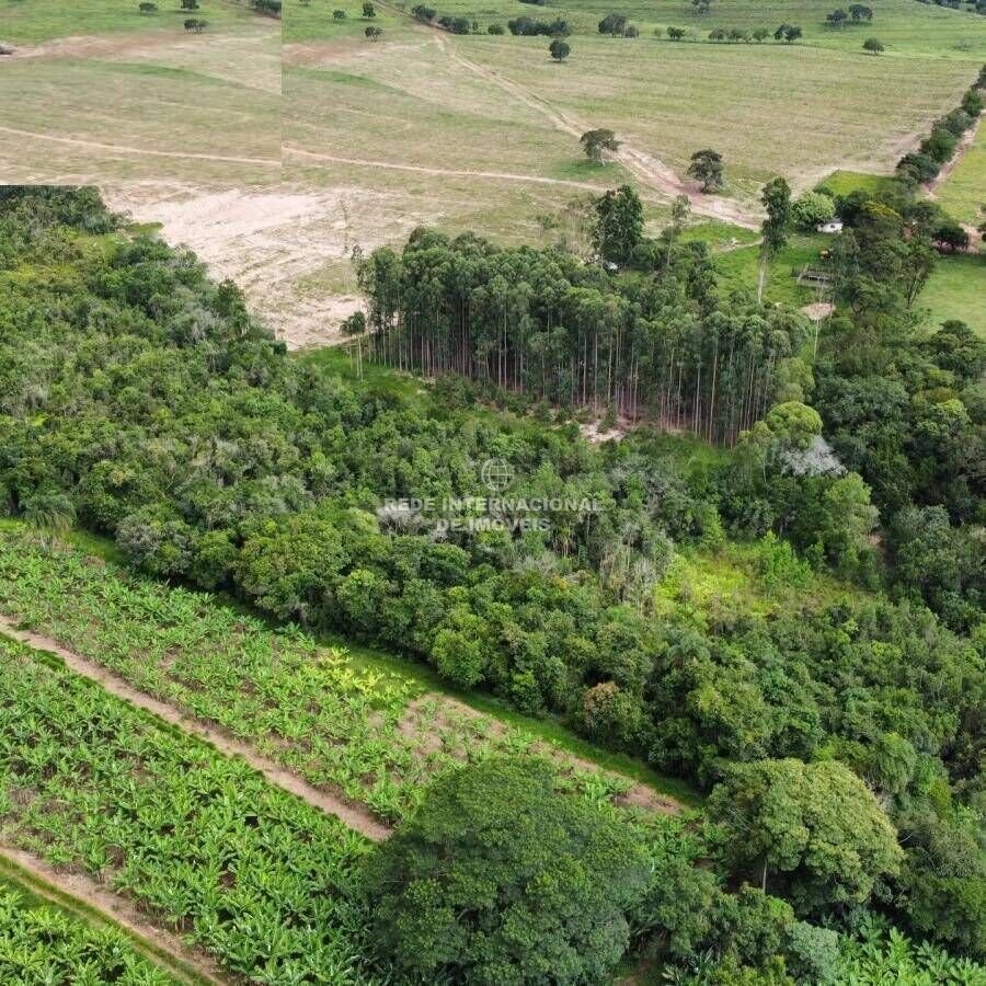 Farm Ranch in Rio de Janeiro, State of Rio de Janeiro, Brazil 2 - 16169420
