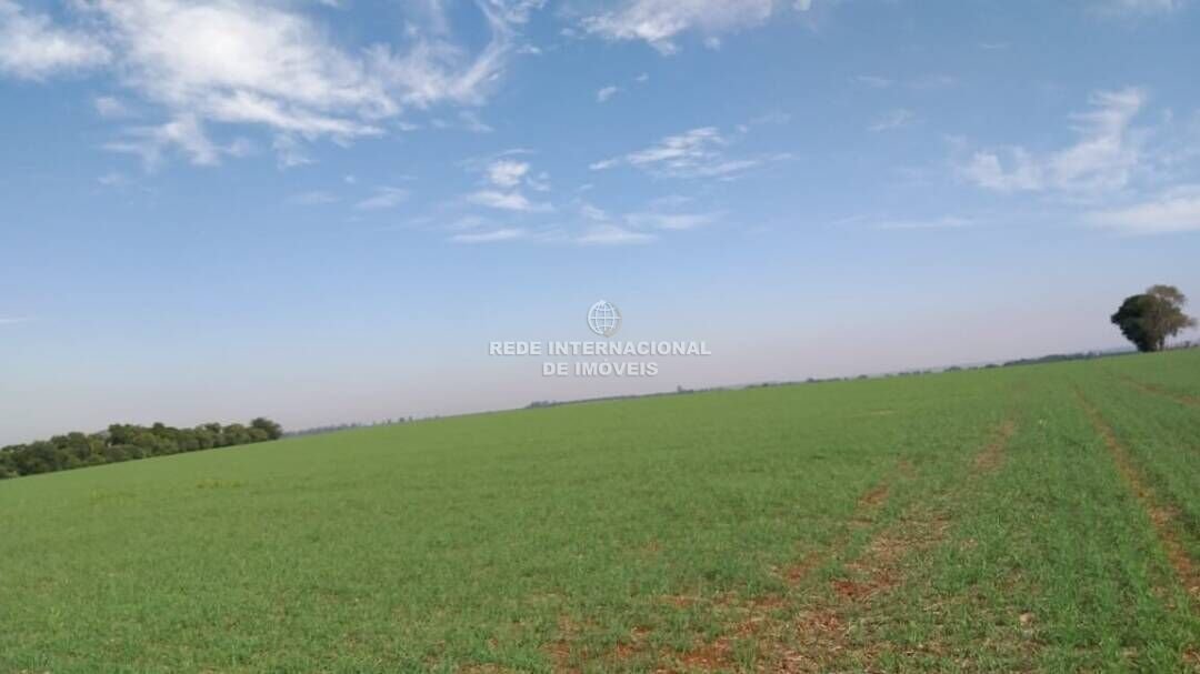 Farm Ranch in Itararé, State of São Paulo, Brazil 1 - 16169136