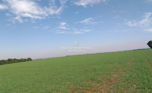 Farm Ranch in Itararé, State of São Paulo, Brazil 1