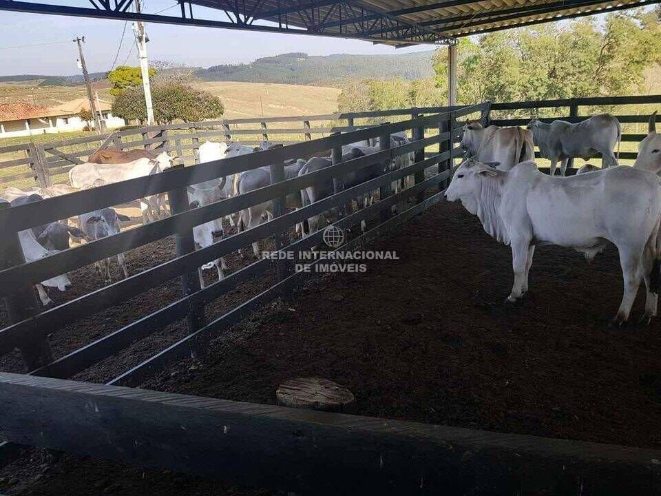 Farm Ranch in Rio de Janeiro, State of Rio de Janeiro, Brazil 4 - 16175649